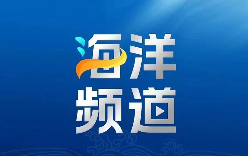  年產(chǎn)量超過20噸 產(chǎn)值超過3億元丨山東助力“小海馬”走上“大產(chǎn)業(yè)”、“大健康”高質(zhì)量發(fā)展之路